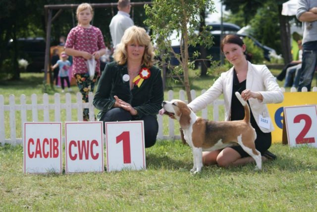 Leszno - Jamajka - CWC,CACIB,BOS